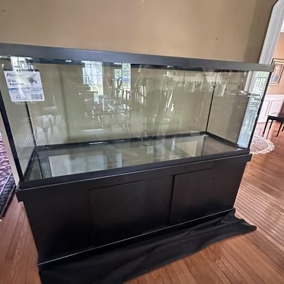 Large aquarium relocation
