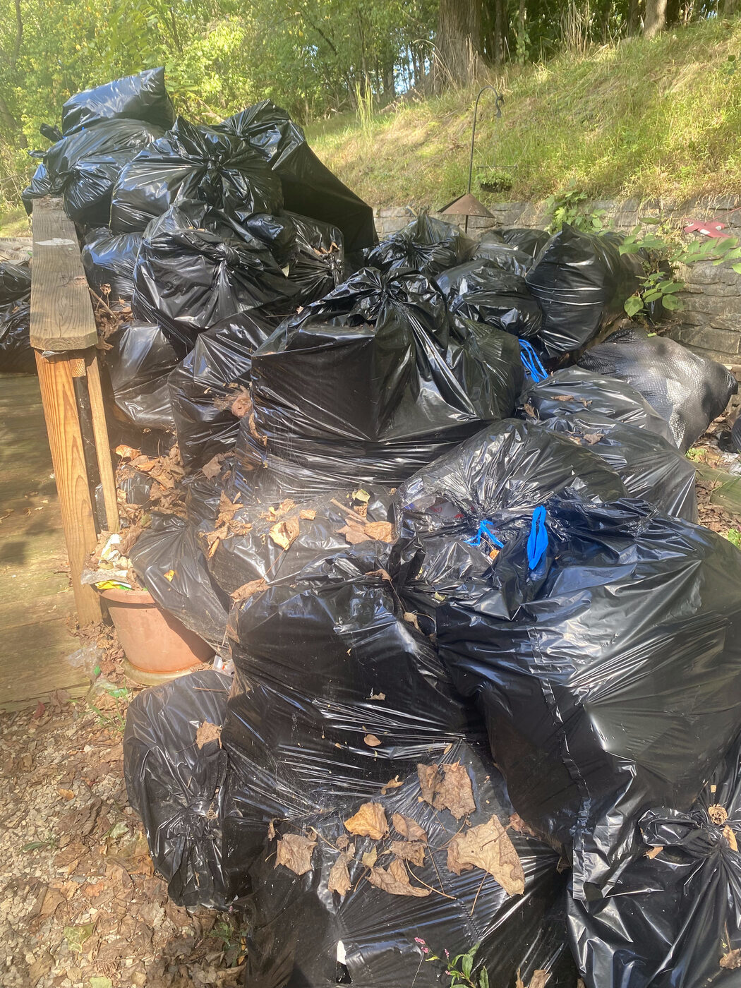 Large junk haul